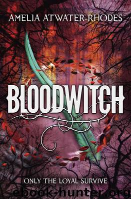 Bloodwitch by Amelia Atwater-Rhodes