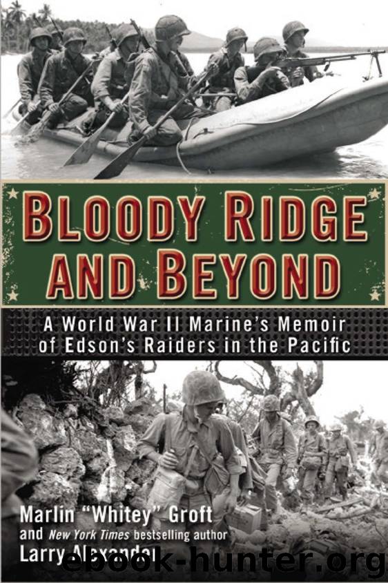 Bloody Ridge and Beyond by Marlin Groft
