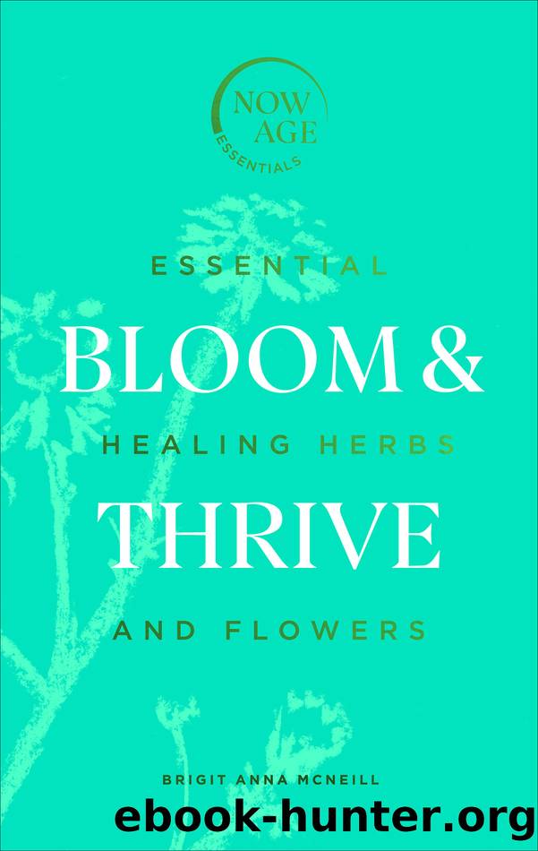 Bloom & Thrive by Brigit Anna McNeill
