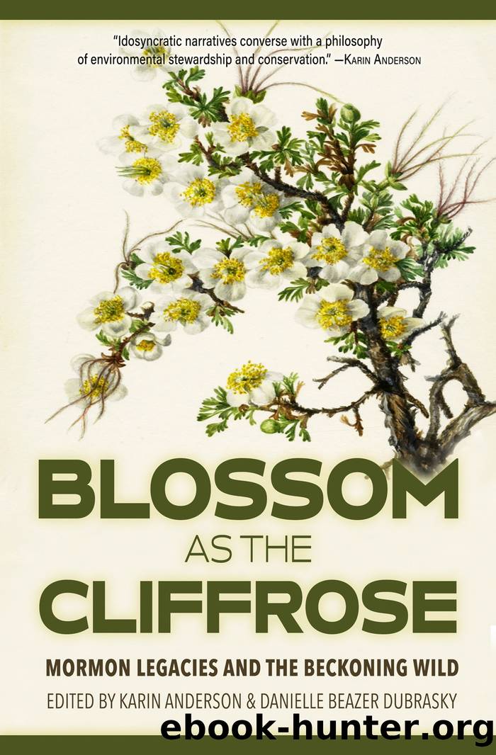 Blossom as the Cliffrose by Karin Anderson