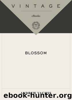 Blossom by Andrew Vachss