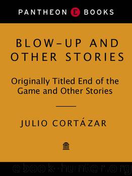 Blow-Up: And Other Stories by Julio Cortazar