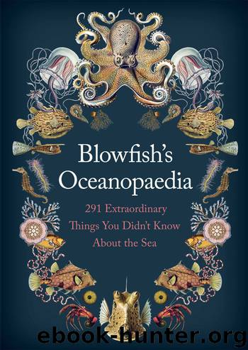 Blowfish's Oceanopedia by Blowfish