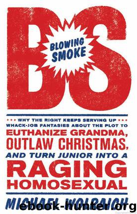 Blowing Smoke by Michael Wolraich