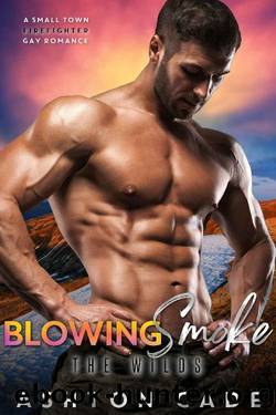 Blowing Smoke: A Small-town Firefighter Gay Romance (The Wilds Book 2) by Ashton Cade