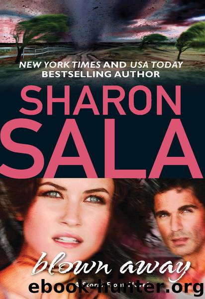 Blown Away (2010) by Sala Sharon