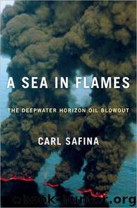 Blowout by Carl Safina