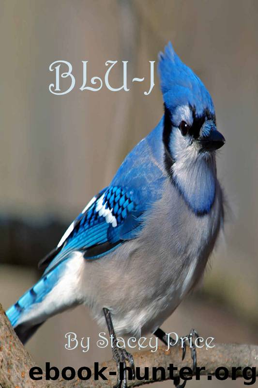 Blu-J by Stacey Price Brown