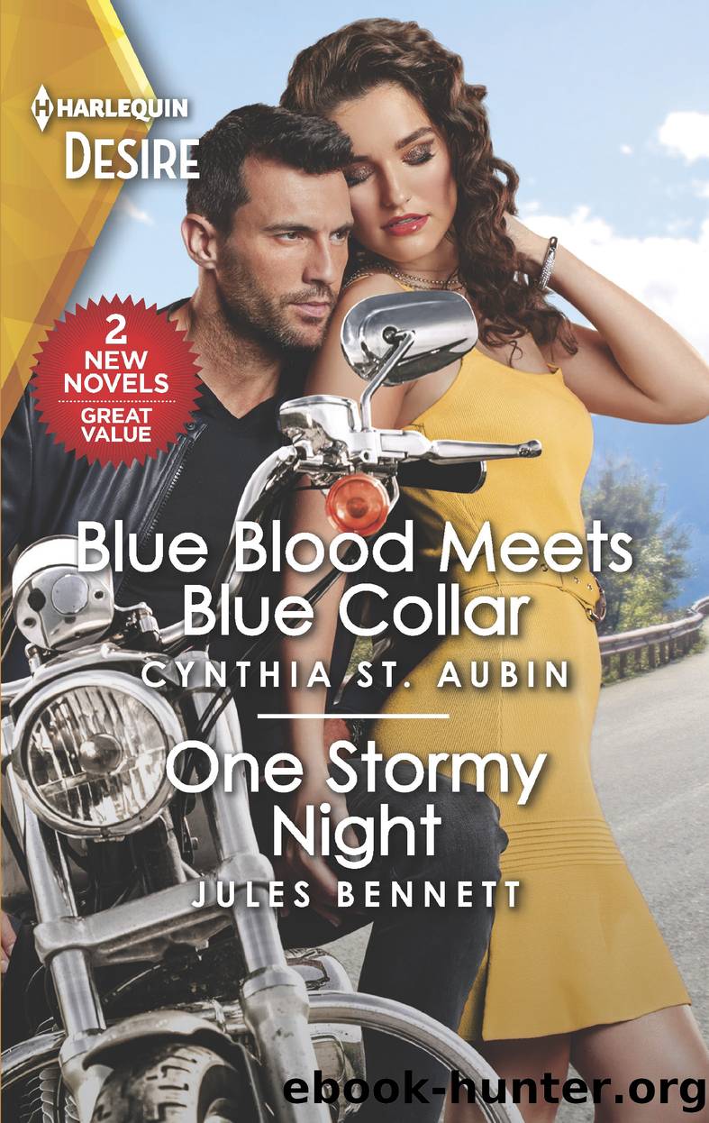 Blue Blood Meets Blue Collar & One Stormy Night by Cynthia St. Aubin