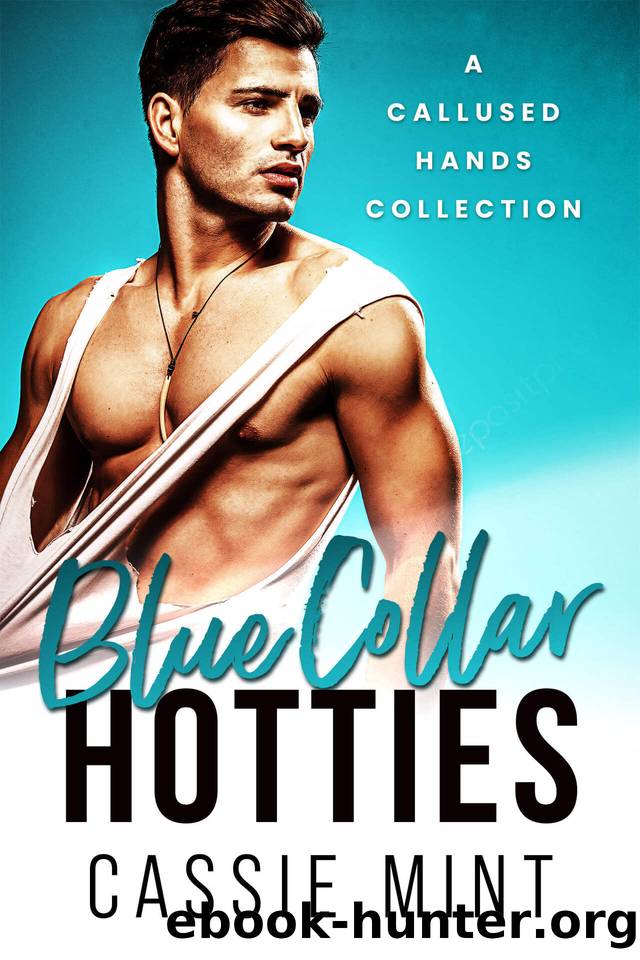 Blue Collar Hotties: A Callused Hands Collection by Cassie Mint