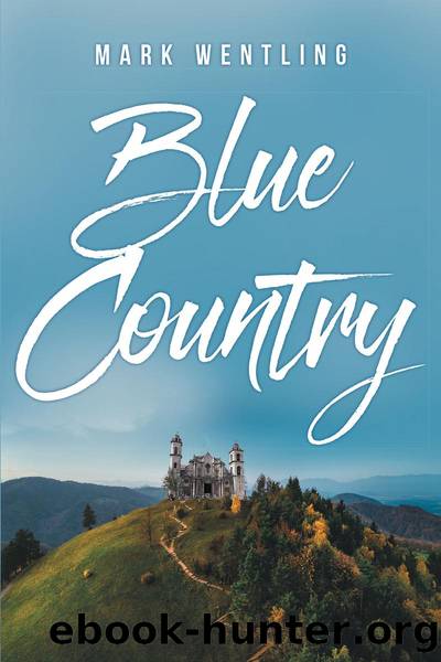 Blue Country by Mark Wentling