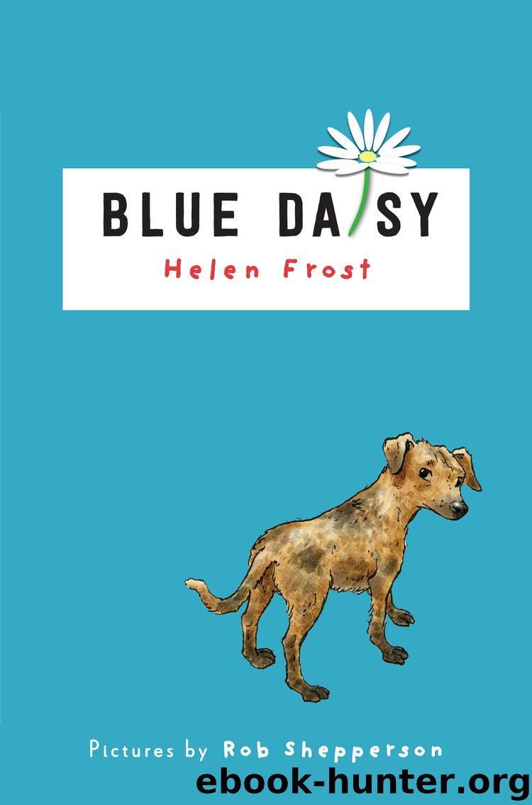 Blue Daisy by Helen Frost