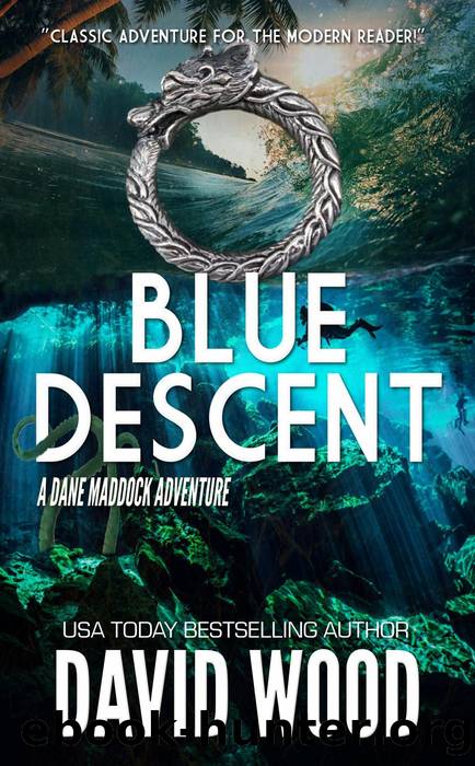Blue Descent by David Wood
