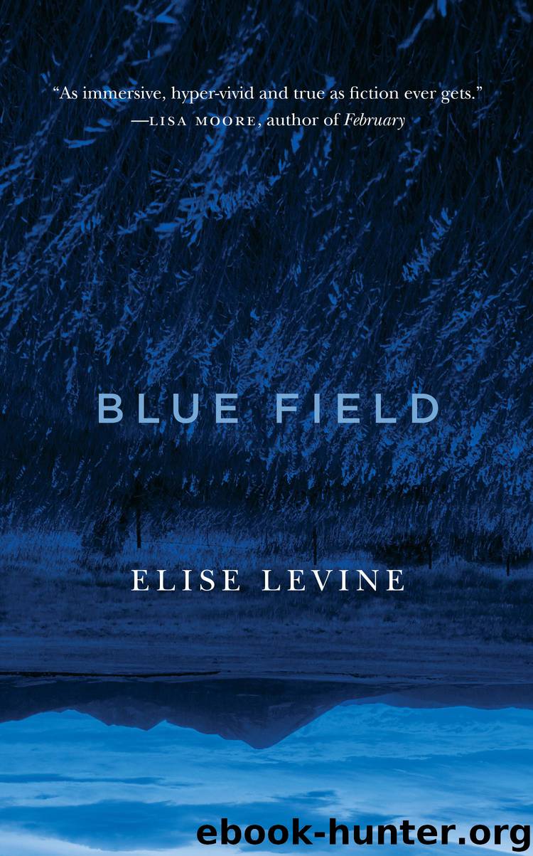 Blue Field by Levine Elise;