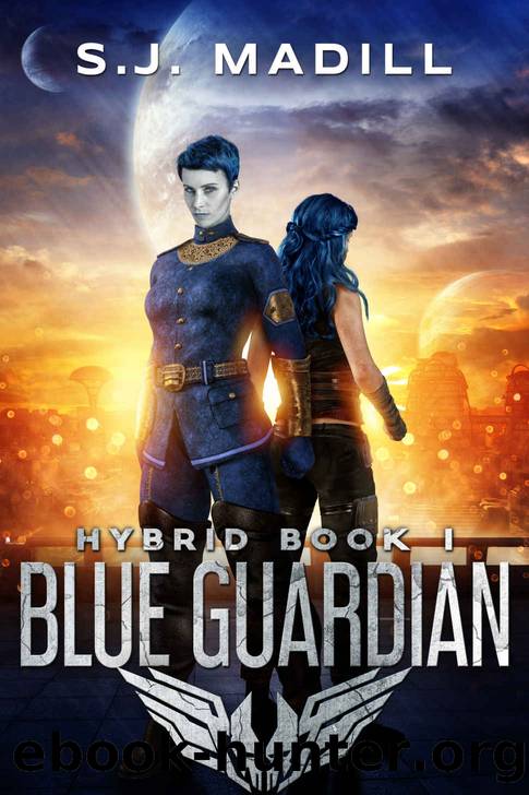 Blue Guardian by S. J. Madill
