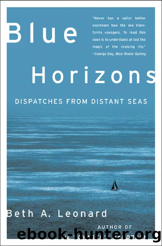 Blue Horizons by Beth A. Leonard