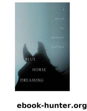 Blue Horse Dreaming by Melanie Wallace