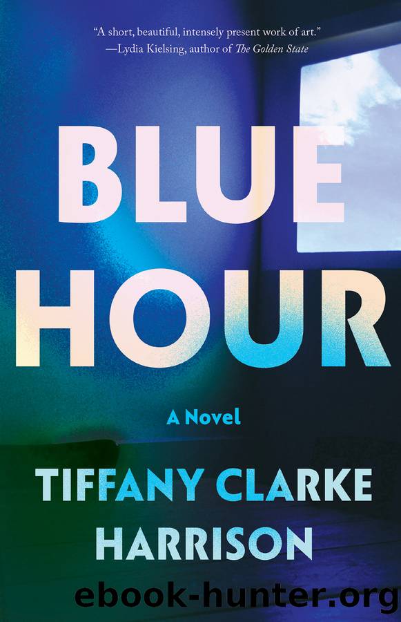 Blue Hour by Tiffany Clarke Harrison