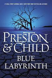 Blue Labyrinth