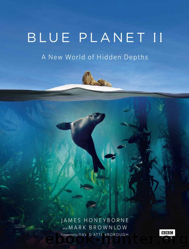 Blue Planet II by James Honeyborne & Mark Brownlow