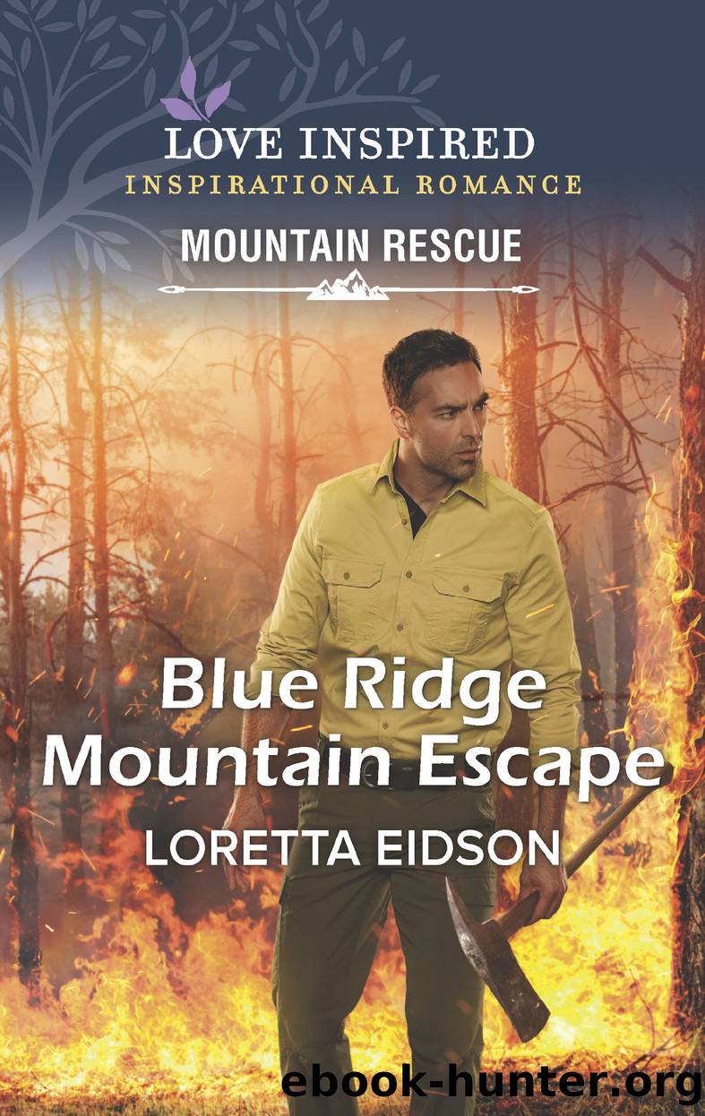 Blue Ridge Mountain Escape by Loretta Eidson
