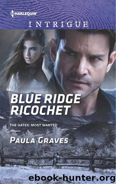 Blue Ridge Ricochet by Graves Paula