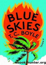 Blue Skies by T. C. Boyle