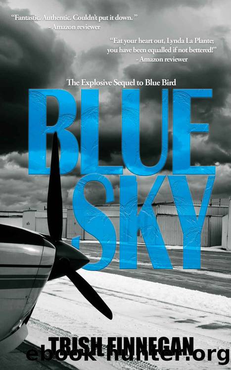Blue Sky (The Blue Bird Series Book 2) by Trish Finnegan