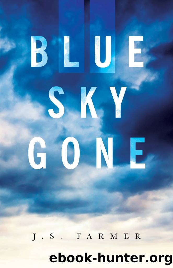 Blue Sky Gone by Jennifer Farmer