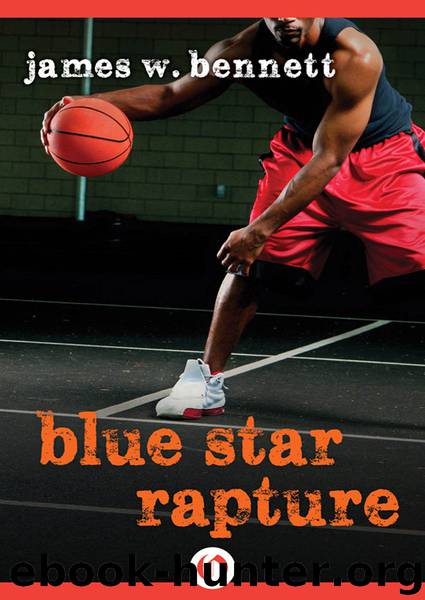 Blue Star Rapture by JAMES W. BENNETT