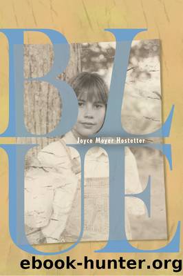 Blue by Joyce Moyer Hostetter