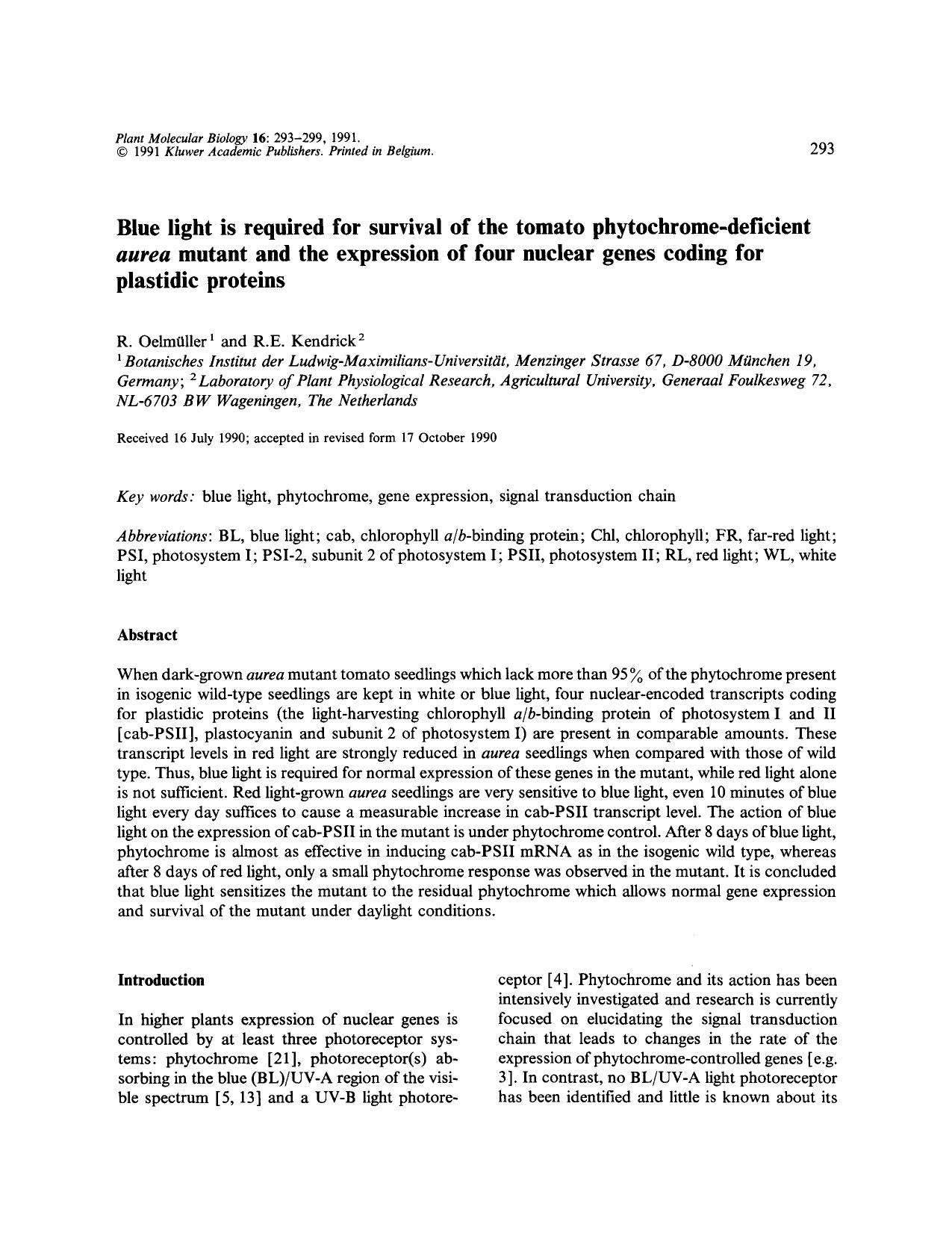 Blue light is required for survival of the tomato phytochrome-deficient <Emphasis Type="Italic">aurea <Emphasis> mutant and the expression of four nuclear genes coding for plastidic proteins by Unknown
