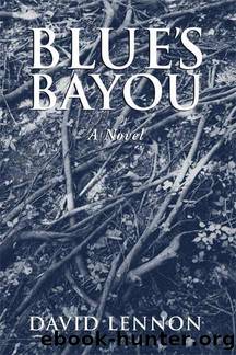 Blue's Bayou by David Lennon