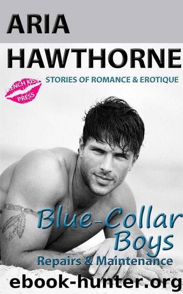 Blue-Collar Boys - Repairs & Maintenance (Book 2: Steamy Erotic Romance Stories) by Hawthorne Aria