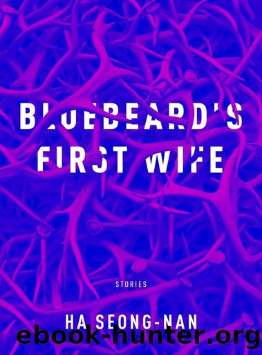 Bluebeard's First Wife by Ha Seong-Nan