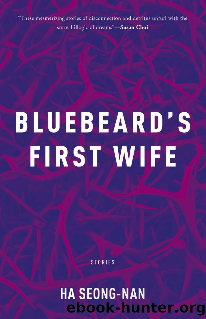 Bluebeardâs First Wife by Ha Seong-Nan