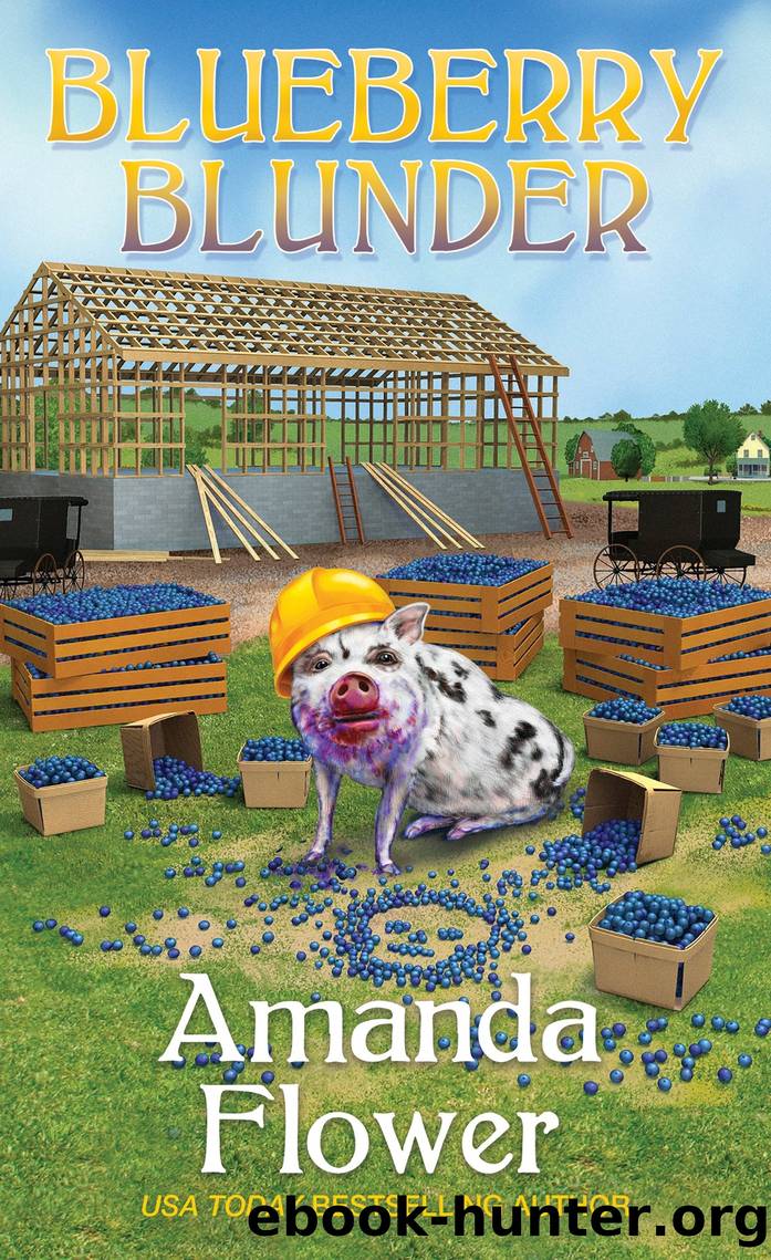 Blueberry Blunder by Amanda Flower