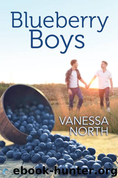 Blueberry Boys by Vanessa North