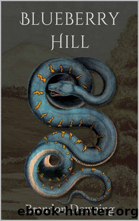 Blueberry Hill by Brandon Downing