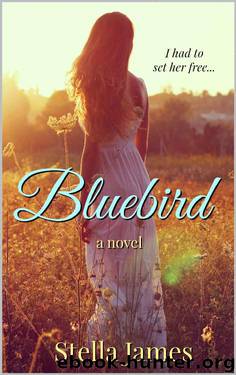 Bluebird by Stella James