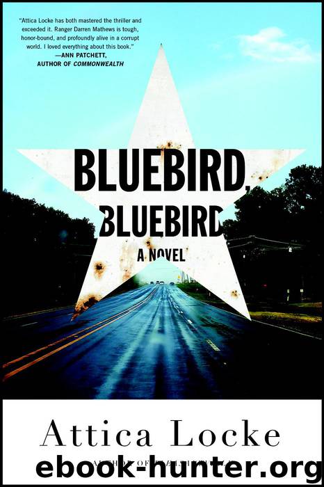 Bluebird, Bluebird by Attica Locke