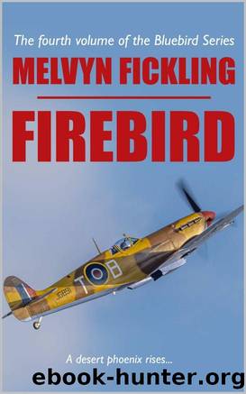 Bluebirds 04.Firebird by Melvyn Fickling