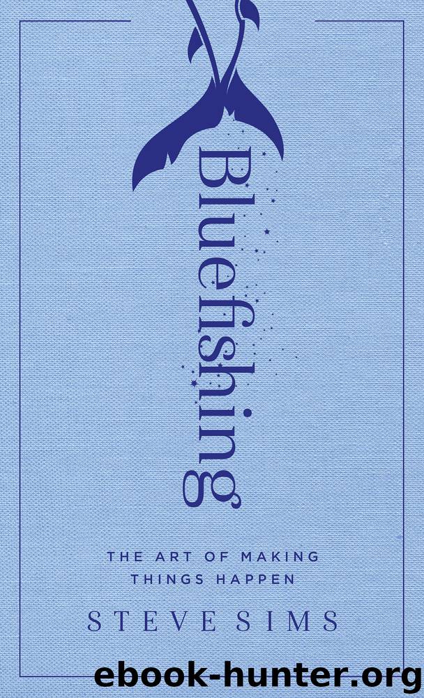 Bluefishing by Steve Sims