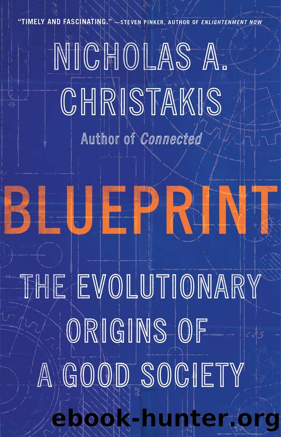 Blueprint by Nicholas A. Christakis