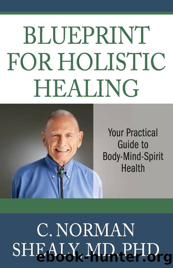Blueprint for Holistic Healing by C. Norman Shealy