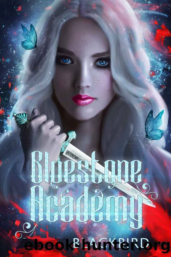 Bluestone Academy by BLACKBIRD A