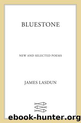 Bluestone by James Lasdun