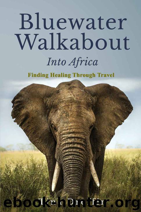 Bluewater Walkabout: Into Africa: Finding Healing Through Travel by Tina Dreffin