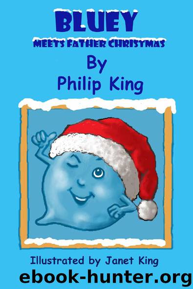 Bluey Meets Father Christmas by Philip King & Janet King