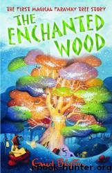 Blyton, Enid - Faraway Tree 01 by The Enchanted Wood (v1.1)